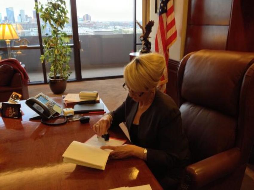 Arizona Gov. Jan Brewer vetoed the controversial religious freedom bill SB 1062 Wednesday evening.