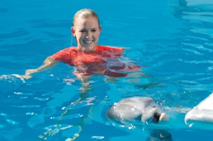 Dolphin Tale 2: Bethany Hamilton