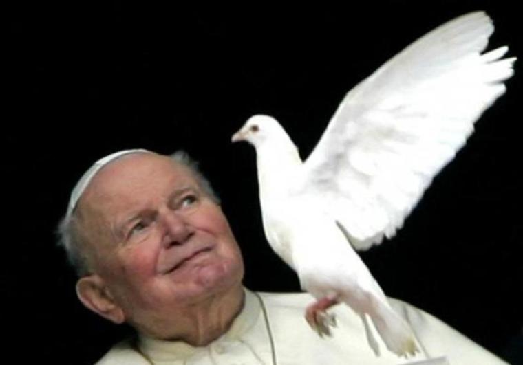 Pope John Paul II looks at one of the two doves released by children from the window of his private apartments at the end of the Sunday Angelus prayer at the Vatican, Jan. 30, 2005.