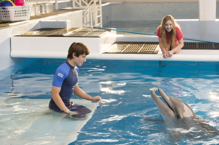 A picture from Dolphin Tale 2
