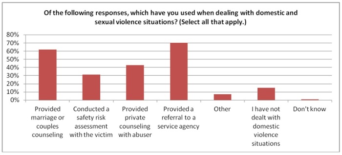 Protestant Pastors Survey on Sexual and Domestic Violence