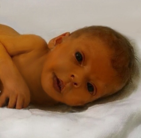 Credit : (Photo: evrengoldfish/imgur via reddit)