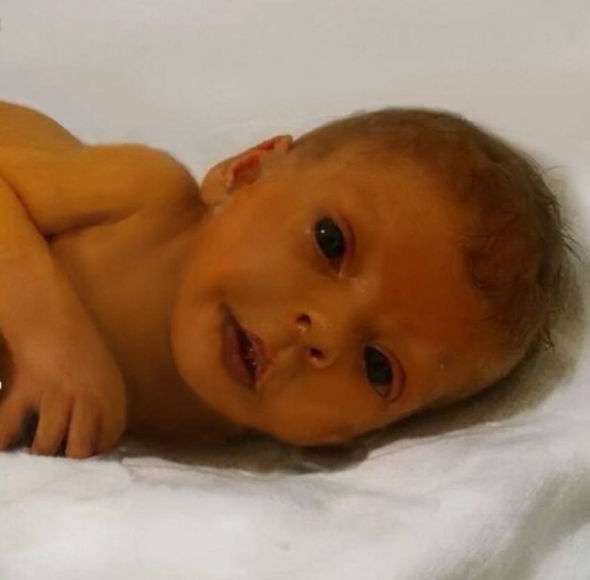 Credit : (Photo: evrengoldfish/imgur via reddit)