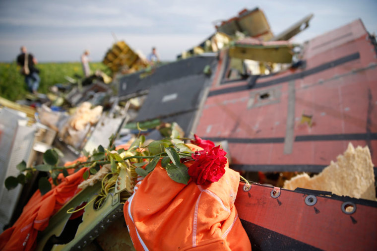 A flower placed on wreckage is pictured at the crash site of Malaysia Airlines Flight MH17, near the settlement of Rozspyne in the Donetsk region July 19, 2014. Ukraine accused Russia and pro-Moscow rebels on Saturday of destroying evidence to cover up their guilt in the shooting down of the Malaysian airliner that has accelerated a showdown between the Kremlin and Western powers.