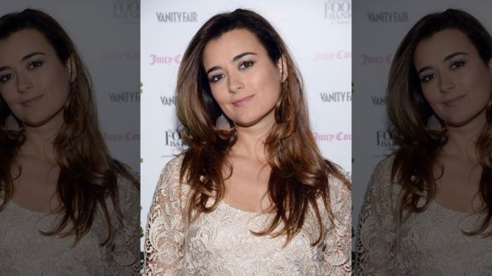 NCIS actress Cote de Pablo attends the Vanity Fair for the Vanities Calendar at the Chateau Marmont in West Hollywood, Ca. (February 2013).