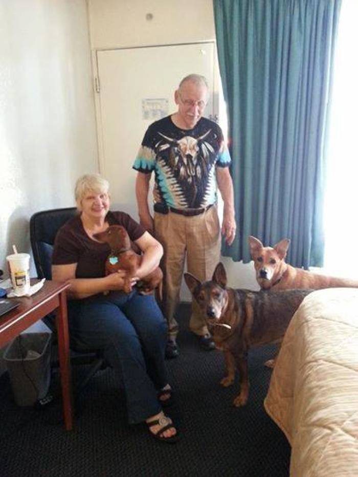 Dee and Gordon Head with their three dogs.