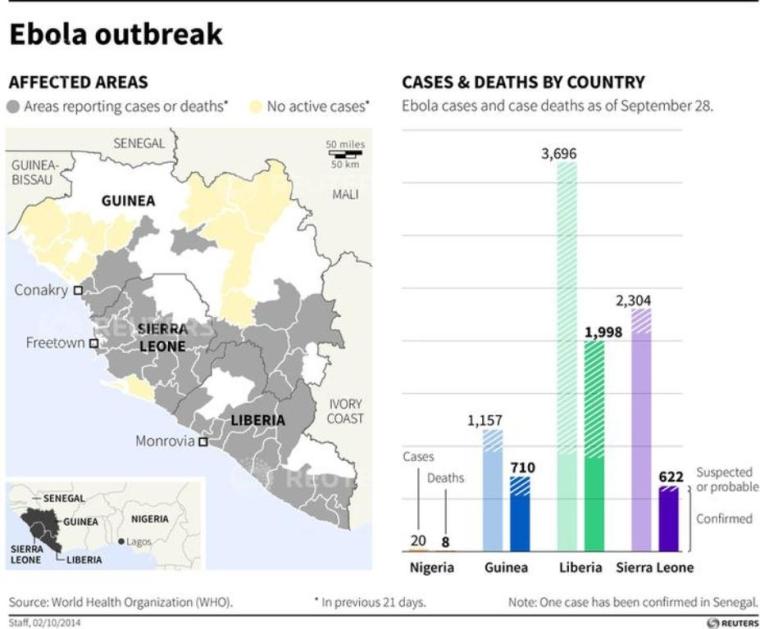 Charts the latest Ebola cases and case deaths in western Africa, according to data from the WHO.