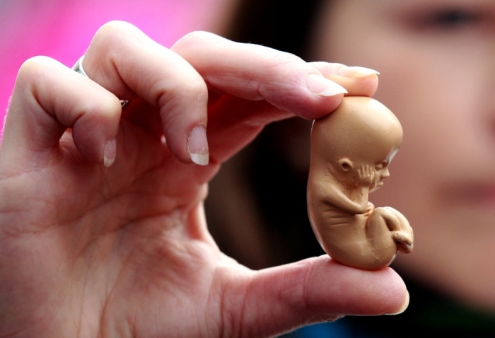 A pro-life campaigner holds up a model of a 12-week-old embryo during a protest outside the Marie Stopes clinic in Belfast October 18, 2012.