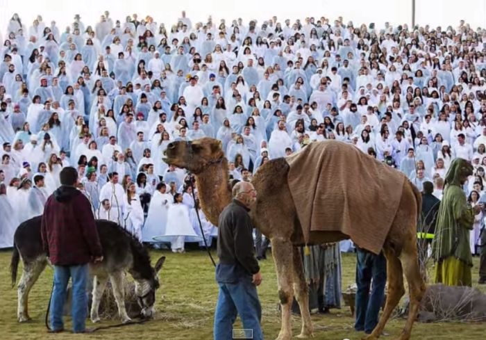 A living nativity held on Monday, December 2, 2014, at Rock Canyon Park in Provo, Utah. The display set a Guinness World Record for most people involved in a living nativity, at 1,039 individuals.