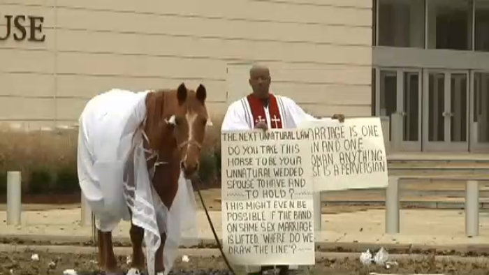 Reverend Edward James of Bertha Chapel Missionary Baptist Church protests gay marriage in Mississippi with horse in a wedding dress.