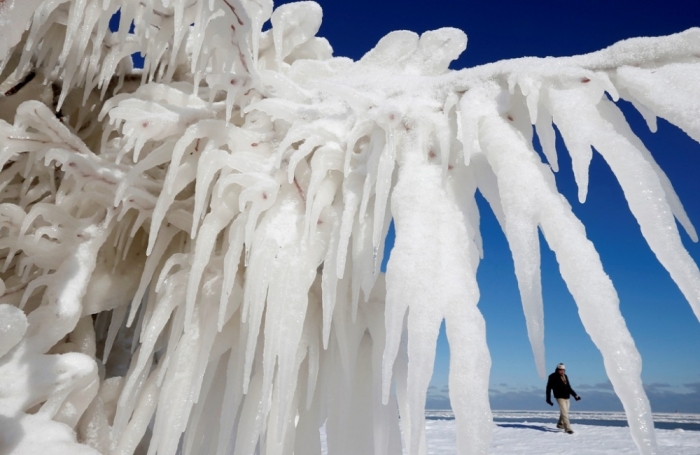 A man walks past an ice-covered tree along Lake Michigan in Chicago, Illinois, February 2, 2015. A huge winter storm hit the northeastern United States on Monday, the region's second snowy blast in less than a week, after leaving more than a foot of snow in the Chicago area. The area was hit with blizzard conditions yesterday, which was followed by a huge temperature drop to well below freezing.