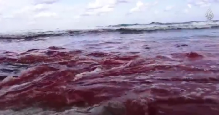 The blood of the Coptic Christians flows into the Mediterranean Sea after they are beheaded by ISIS.