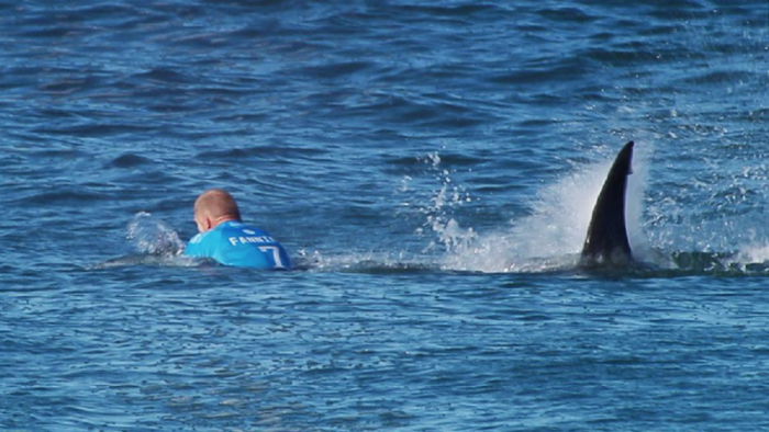 Australian surfer Mick Fanning, 34, gets attacked by a shark on live TV at the World Surf League's J-Bay Open in South Africa.
