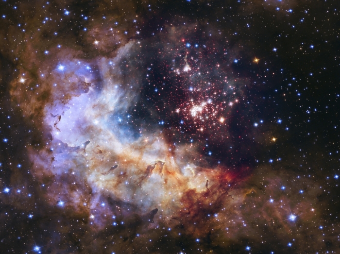 A stellar nursery of about 3,000 stars called Westerlund 2 located about 20,000 light-years from the planet Earth in the constellation Carina is shown in this undated NASA handout taken by the Hubble Space Telescope released April 23, 2015.