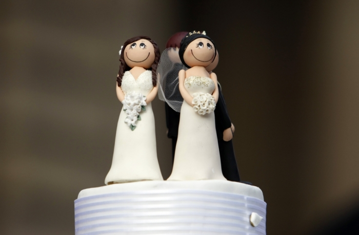 Two bride figurines adorn the top of a wedding cake during an illegal same-sex wedding ceremony in central Melbourne August 1, 2009. Gay activists staged mock weddings across Australia on Saturday as the governing Labor Party voted against changing its ban on gay marriage.