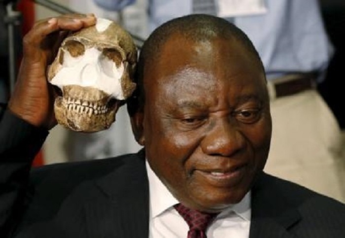 South Africa's Deputy President Cyril Ramaphosa holds a replica of the skull of a newly discovered ancient species, named 'Homo naledi,' during its unveiling outside Johannesburg, September 10, 2015.