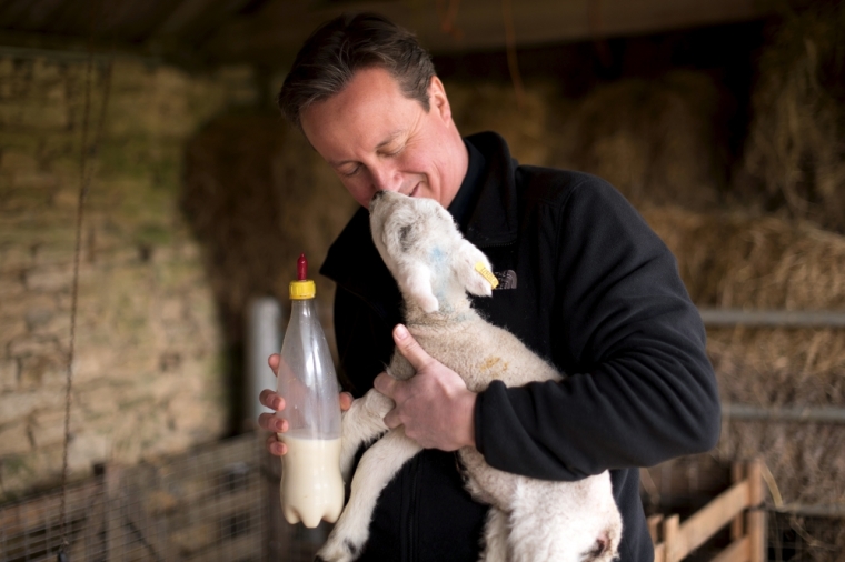 Britain's Prime Minister David Cameron feeds an orphaned lamb during a visit to Dean Lane Farm near Chadlington, southern England, April 5, 2015.