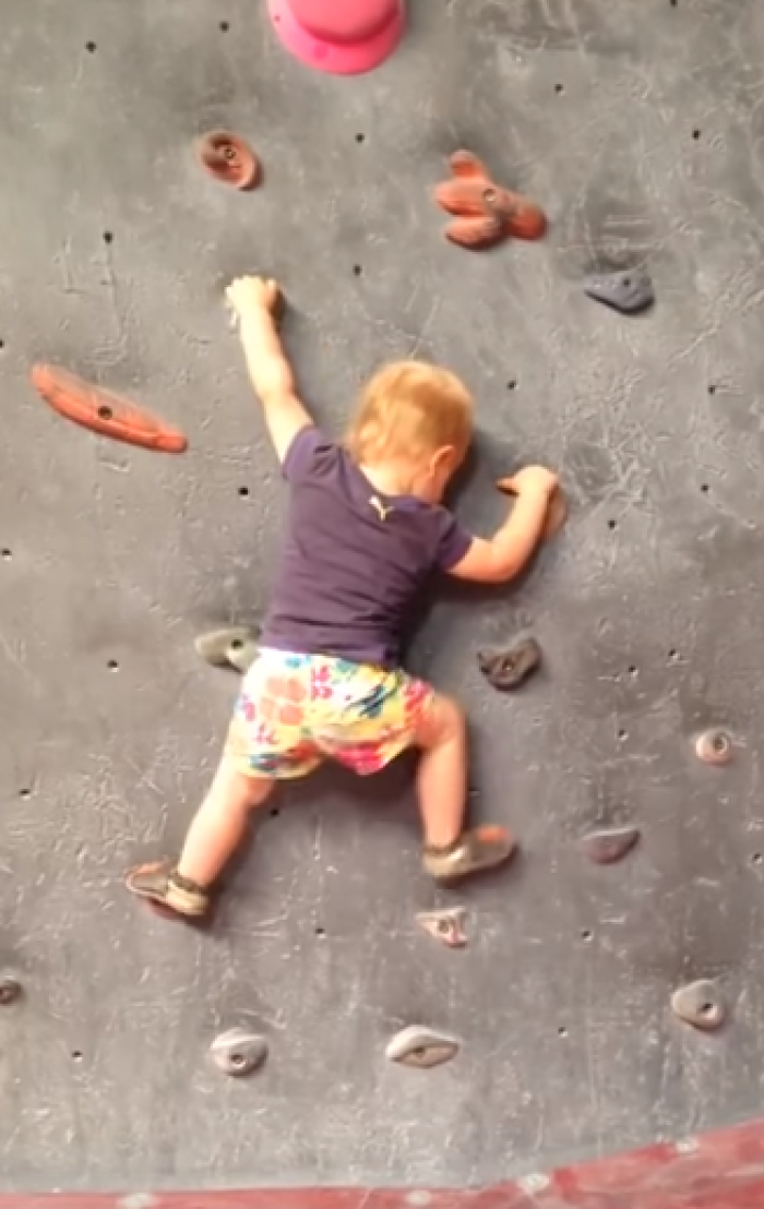 Toddler climbs rock wall.