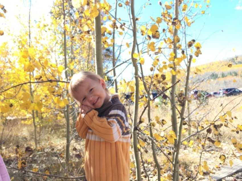 Credit : (Photo: Kristi Burton Brown)