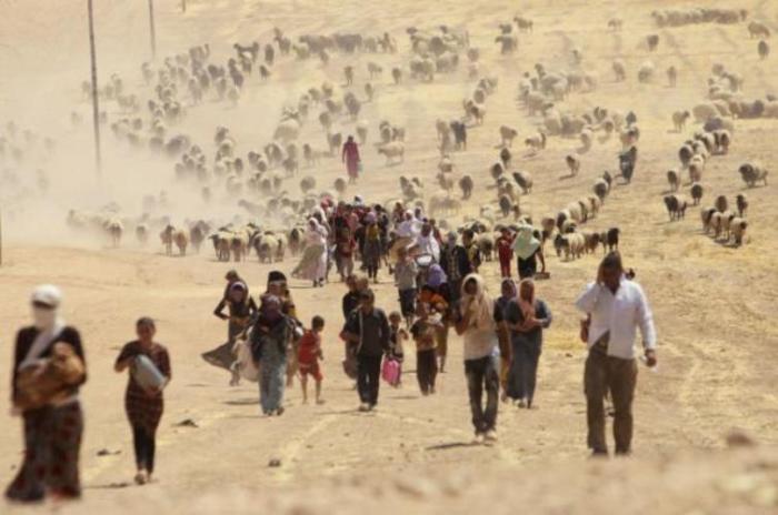 Displaced people from the minority Yazidi sect, fleeing violence from forces loyal to the Islamic State in Sinjar town, walk towards the Syrian border, on the outskirts of Sinjar mountain, near the Syrian border town of Elierbeh of Al-Hasakah Governorate August 10, 2014.