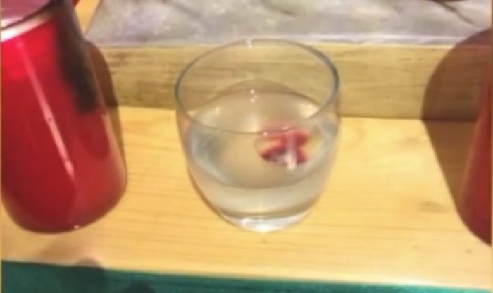 A 'bleeding' communion wafer is being hailed as a miracle by believers at St. Francis Xavier Church in Kearns, Salt Lake City, Utah, seen in a video published on November 25, 2015.