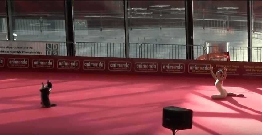 Sandra Roth and her dog Lizzy perform freestyle dance.