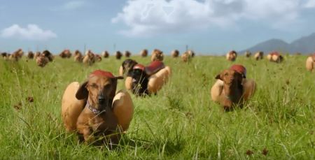 Heinz sausage shop dog ad