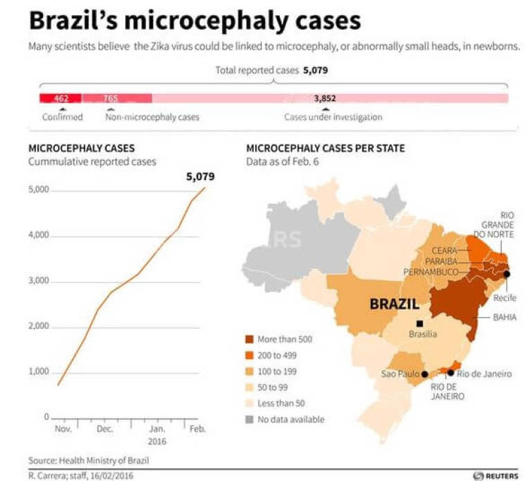 Graphic showing Brazil’s reported microcephaly cases since November 2015. Includes map of the country locating worst-affected states.