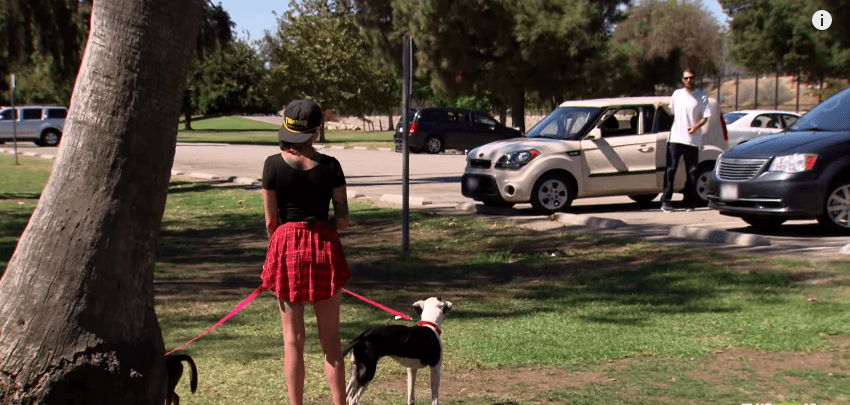 An Air Force veteran returns to his dogs.