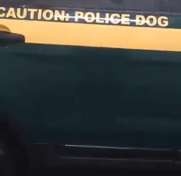 A canine police car in Vermont.