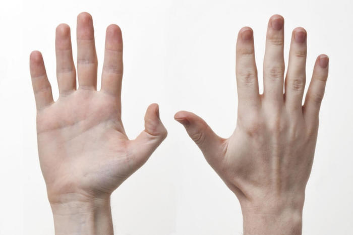 Human hands.
