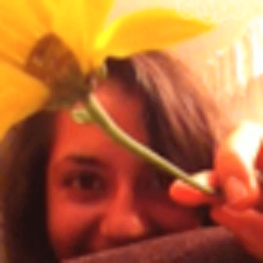 The "gorgeous" 26-year-old virgin Rachel Stewart hides behind a yellow flower in a photo from the profile of her now deactivated blog.