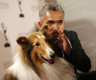 Cesar Millan, Lassie