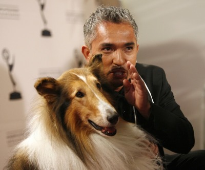 Dog trainer Cesar Millan poses with Lassie at 2008 Primetime Creative Arts Awards in Los Angeles September 13, 2008.