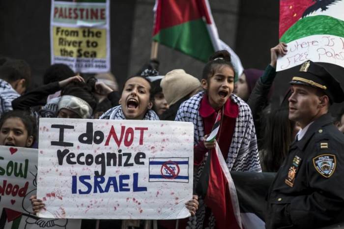 A demonstrator chants slogans during a pro-Palestinian protest in Times Square, in the Manhattan borough of New York, October 18, 2015.