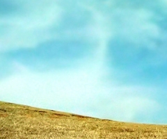 No-Fault DivorceThe End of Marriage?