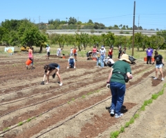 Presbyterian Church (USA) Pressuring Wendy's to Join Fair Food Program