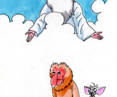 'Ugly' Animals Are God's Children Too!