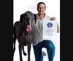 Giant George, World's Tallest Dog, Dies: 7 Foot 3 Inch Great Dane Passes Away (PHOTO, VIDEO)