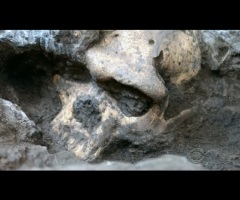 Recent Discovery Suggesting Humans Evolved From One Species Compatible With Christianity, Say Catholic Science Experts