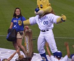 Hot Dog Injury Lawsuit: Man Sues After Being Hit In Face By Kansas City Royals Mascot With Hot Dog