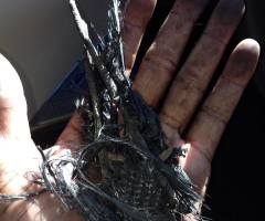 Paul Walker's 'Fast & Furious' Co-Star, Tyrese Gibson, Has Heart-Wrenching Breakdown at Crash Site Where Friend Died (Watch)