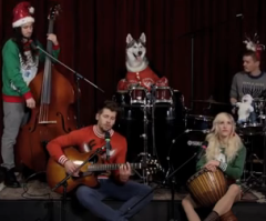 'Little Drummer Boy' Played By...Dogs - Awesome!