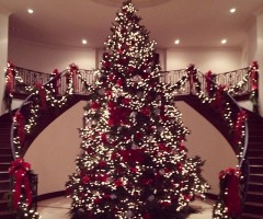 Kardashians' Giant Tree: Kendall Jenner Shares Impressive Christmas Photo