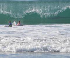 Shark Photo Bombing Kids at Southern California Beach Goes Viral