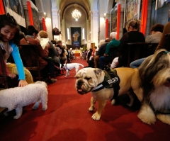 Maryland Pastor to Launch Monthly Dog-Friendly Church Services
