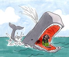 Learning From Jonah
