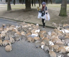 Cutest Stampede Ever: Mob of Adorable Bunny Rabbits Descend on Lucky Person (VIDEO)