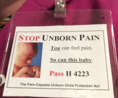 South Carolina House Considering Fetal Pain-Based Abortion Restriction