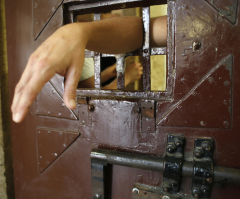 US Senate Holds Hearing on Reforming Usage of Solitary Confinement in Prison System